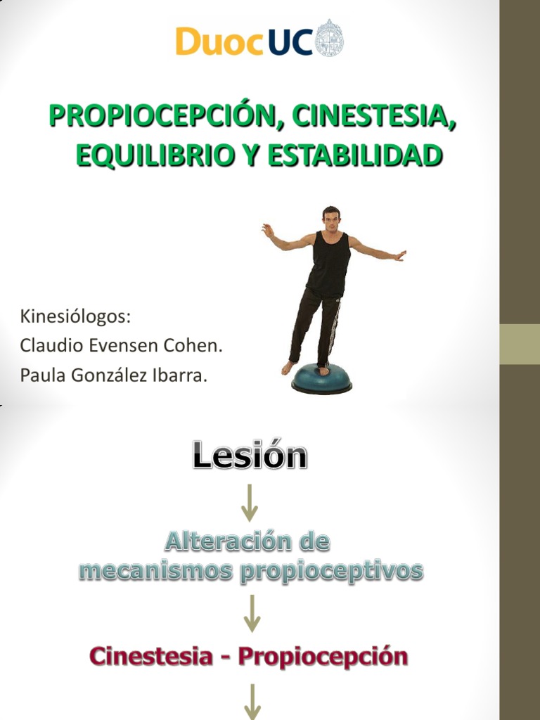 Definición y Evaluación de Propiocepción | PDF | Sentidos | Músculo
