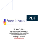 Lic. Mario Squillace - Procesos de Memoria II