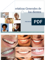 Anatomía Dental