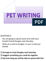 Pet Writing