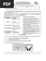 Guìa de Aprendizaje Ciencias Naturales 7º