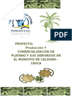 Platano Final 2