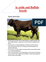 12 - 42 - Ynthetic Cattle and Buffalo Breeds