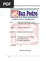 AUDITORIA INFORMATICA EN EL AREA DE PLANIFICACION.docx