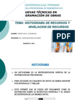 Histograma de Recursos y Nivelacion de Recursos