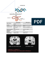 Huntington Imágenes