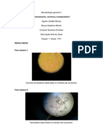 Informe - Transmisores, Vectores y Ectoparásitos. (Definitivo)