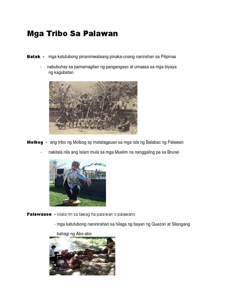 Mga Tribo Sa Palawan | PDF