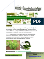 Apuntes del Taller de Reconocimiento y Usos Medicinales de las Plantas.pdf