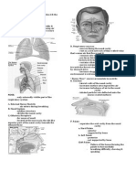 The Respiratory System