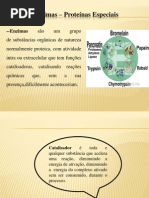 Bioquimica e Fisiologia Vegetal Aula Enzimas