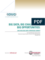 Ioug Big Data Strategies Survey