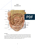 Lapsus Peritonitis