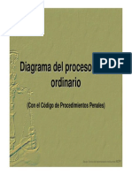 Diagrama Proceso Penal Pyo