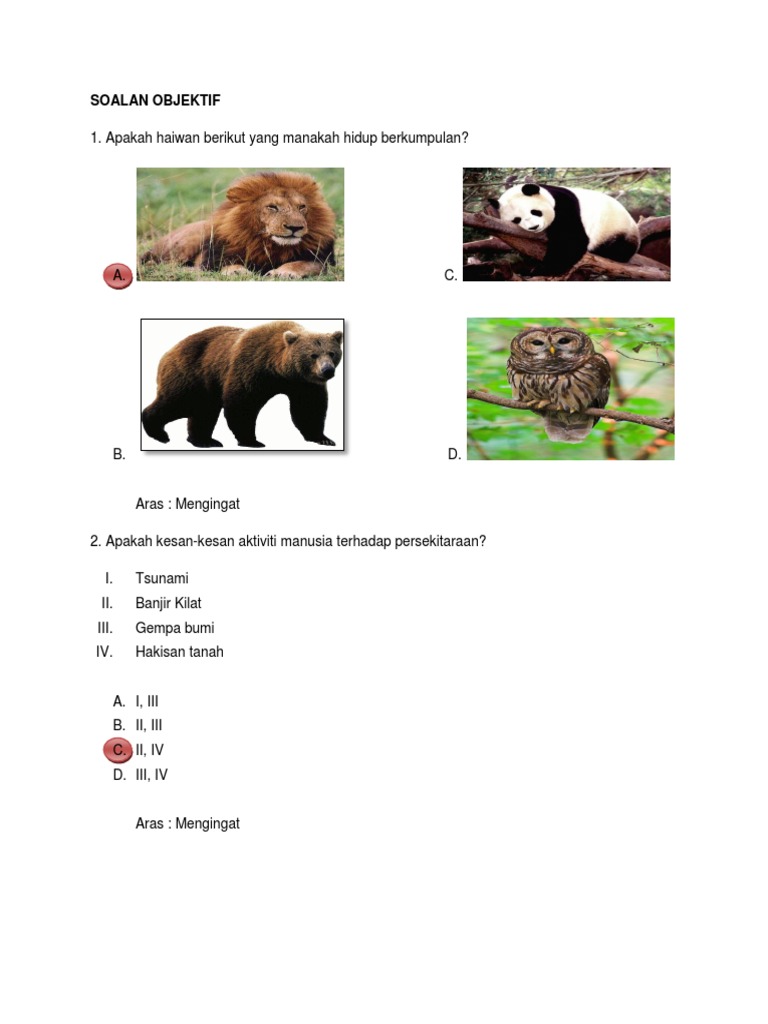 Skema Jawapan Soalan Objektif