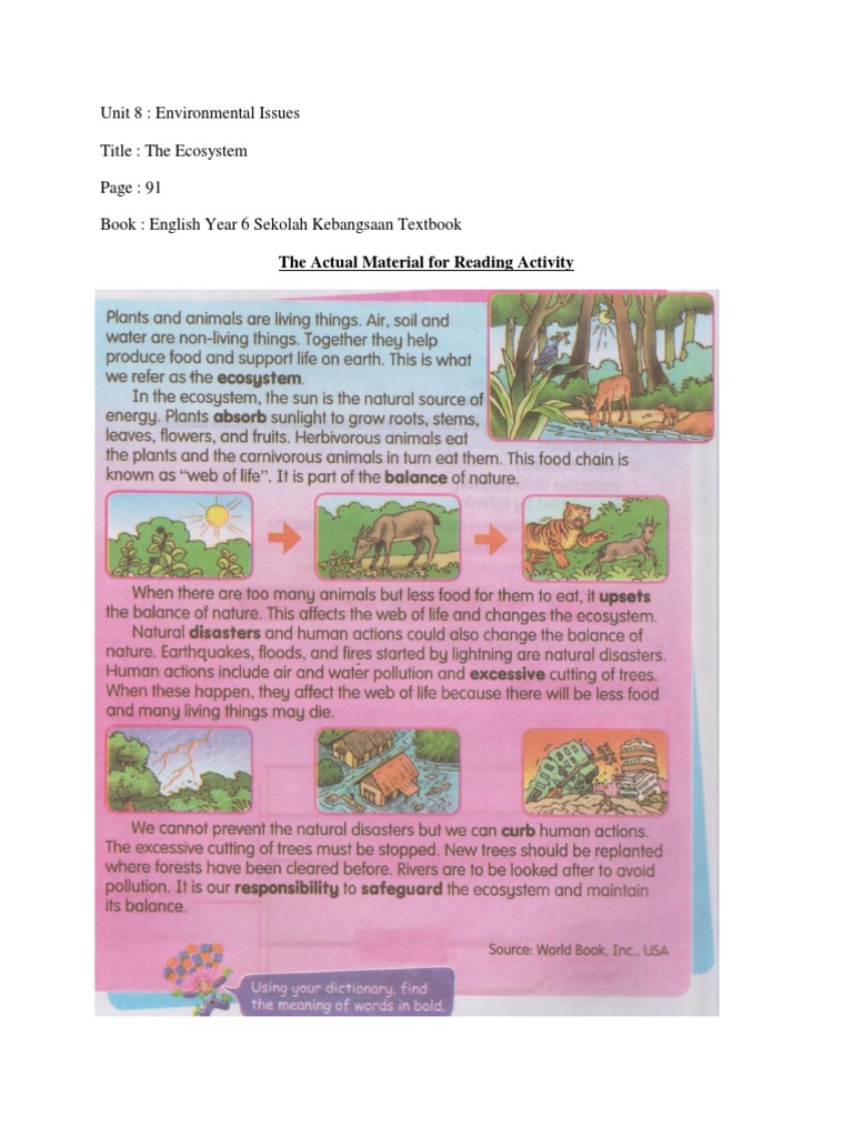 Ecosystem Overview for Year 6 | PDF | Language Arts & Discipline