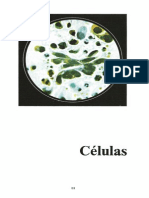 CELULAS