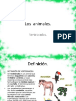 Los Animales (1)