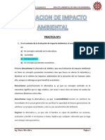 PRACTICA Nº1 Impacto Ambiental