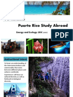 New Puerto Rico Study Abroad