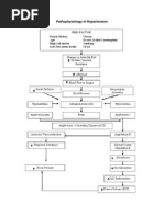 Download Pathophysiology of Hypertension by Kaloy Kamao SN240586023 doc pdf