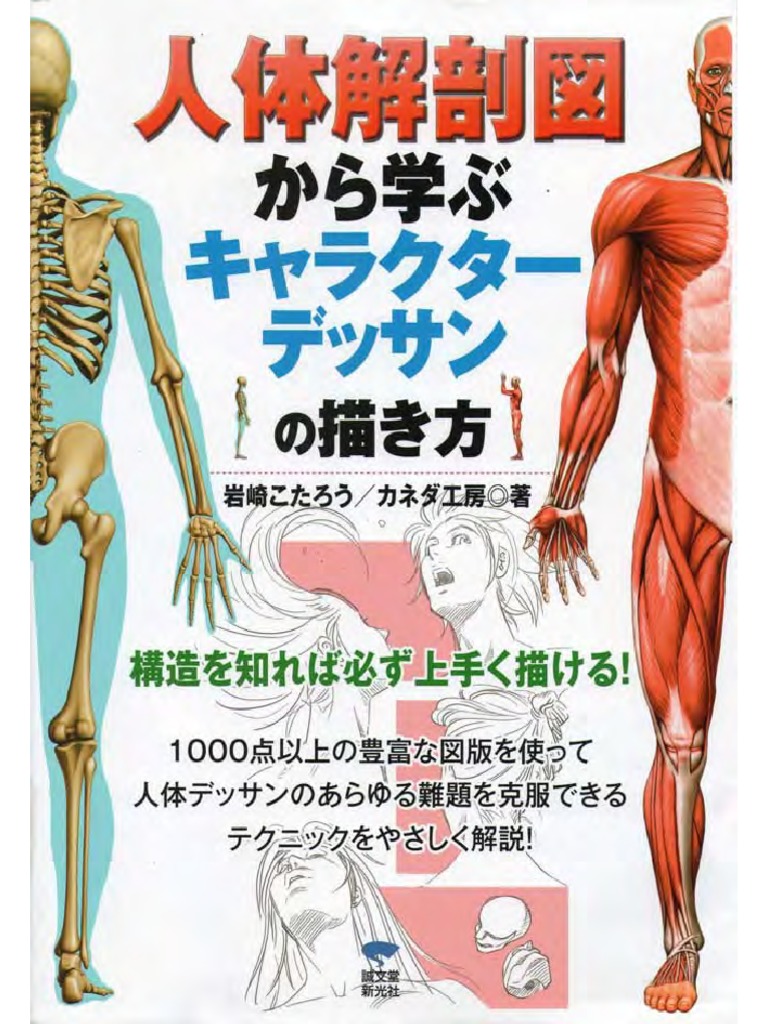 Human Anatomy Japanese PDF