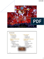 Las Rocas Ígneas y La Actividad Ígnea Intrusiva (Plutonismo)