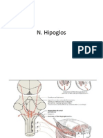 Nervul XII (Hypogloss)