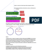 La Regulación de La Expresión Génica Consiste en El Control Que Realiza El Organismo Sobre La Expresión de Los Genes