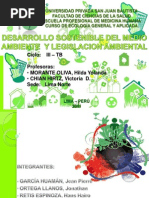 Desarrollosostenibledelmedioambienteylegislacinambiental Exponer 111030163601 Phpapp02