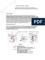 Mecanismos Hiatales o antireflujo.docx