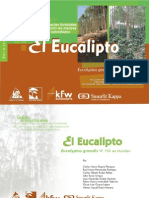 eucalipto (1)