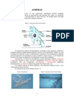 Unidad 3 Amibas Atlas de Parasitologia