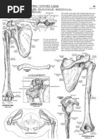 Anatomy Coloring Book Shoulder Diagrams