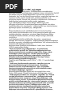 Download Materi Audit Lingkungan by Patricia Alvani Gultom SN240663068 doc pdf