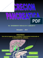 Secreccion Pancretic