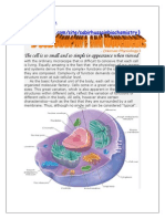 Cell Structure by Sabir.h.n