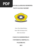 Download Makalah Batu Saluran Kemih by EjanZulqadMaulana SN240673013 doc pdf