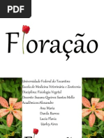 Floração Ok (2).pptx