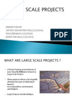 Large Scale Projects