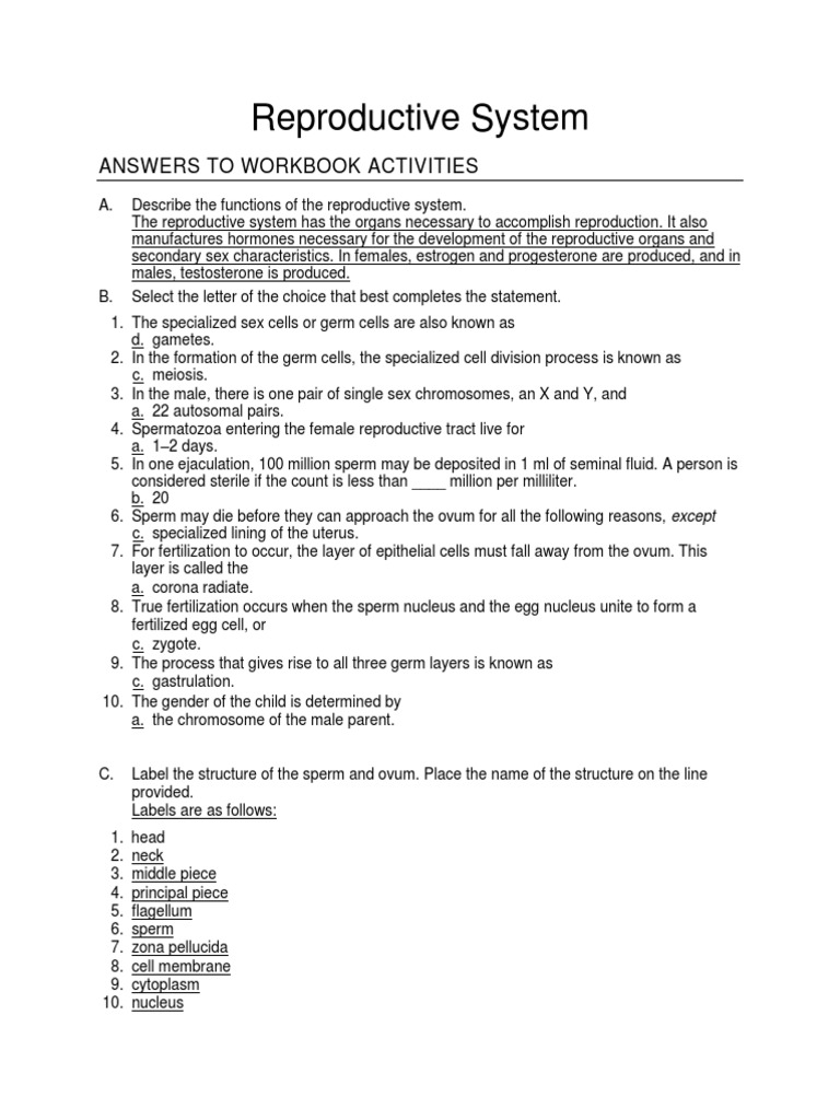 Reproductive System Overview and Functions | PDF | Luteinizing Hormone ...