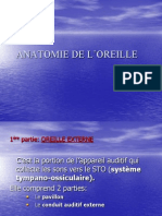 Anatomie Oreille CN Larynx