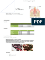 Anatomia y Fisio Clinica II Perros