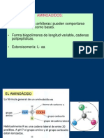 Aminoacidos Proteinas1