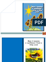 E-book on sunflower