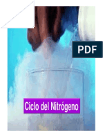 Ciclo Del Nitrogeno PDF