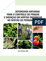 Uso de Defensivos Naturais Em Hortas Orgânicas