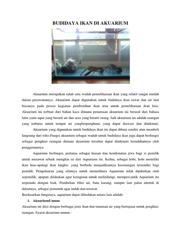 Budidaya Ikan Di Akuarium Pdf