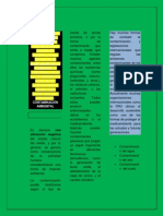 Contaminación Ambiental