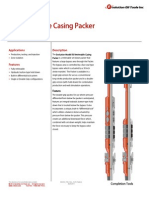 R3 Packer Technical Datasheet